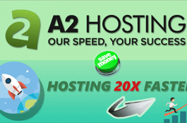 مميزات وعيوب استضافة أي تو هوستنج A2HOSTING